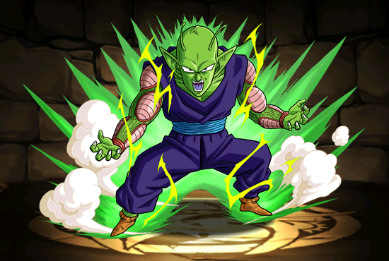 Pet1562