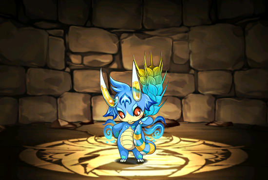 Pet524