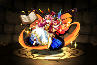 Pet1179
