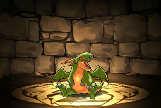 Pet028