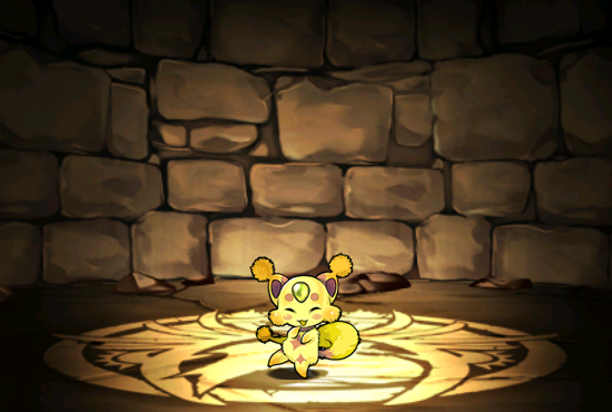 Pet052