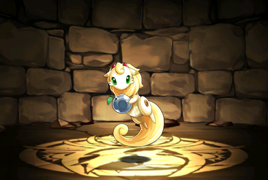 Pet297