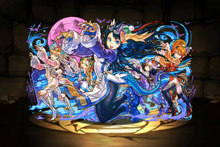 Pet3224
