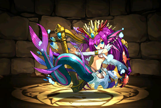 Pet202