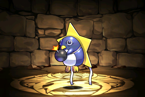 Pet509
