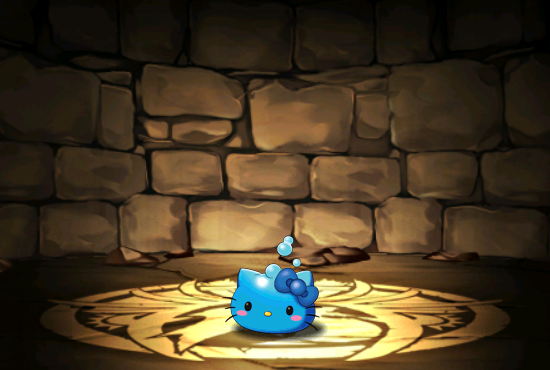 Pet1138