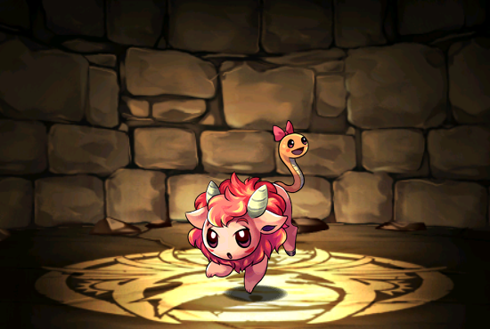 Pet262