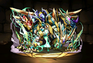 Pet1206