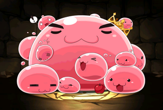Pet1317