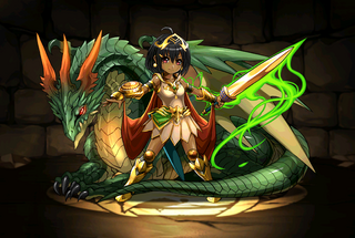 Pet1363