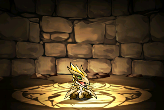Pet013