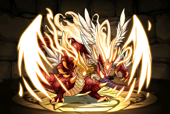 Pet324