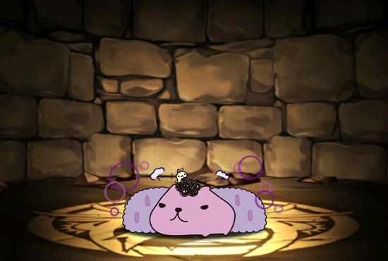 Pet616