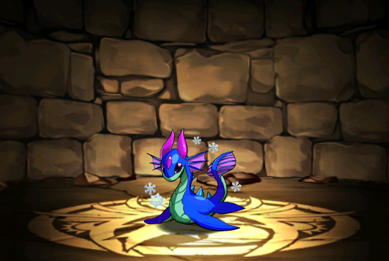 Pet006