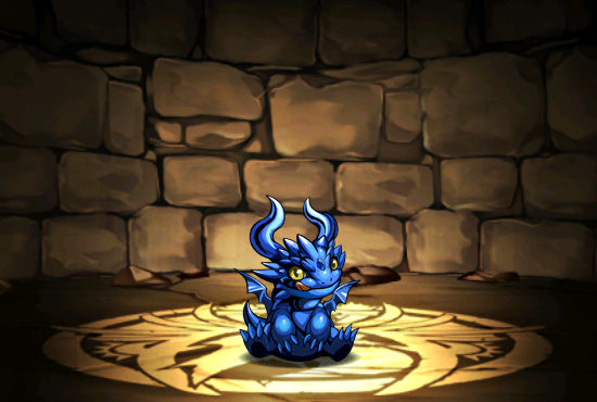 Pet255