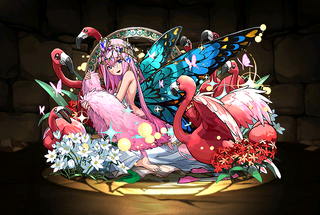 Pet3269