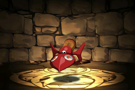 Pet707