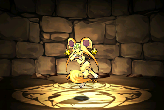 Pet053