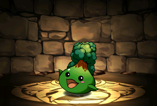 Pet041