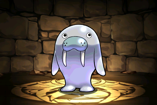 Pet505