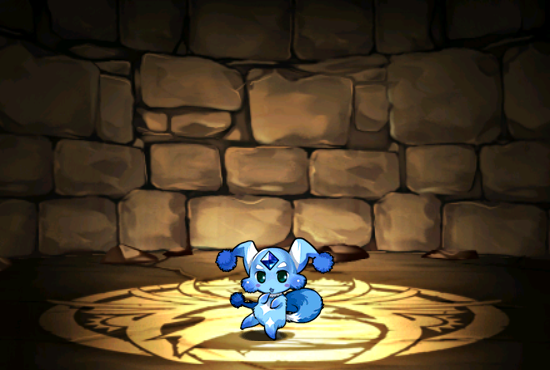 Pet048