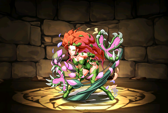 Pet1698