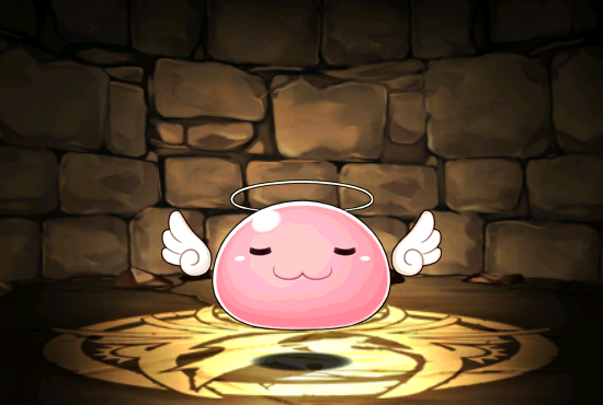 Pet593