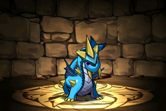 Pet025
