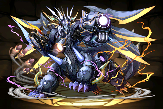 Pet1207