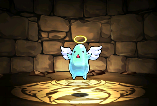 Pet506