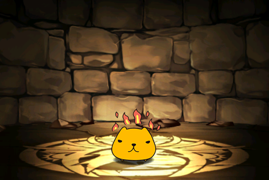 Pet607