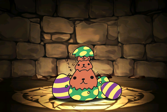 Pet611