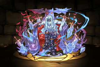 Pet894