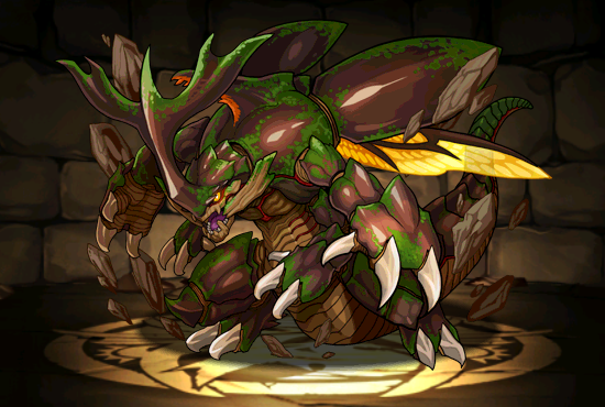 Pet1593