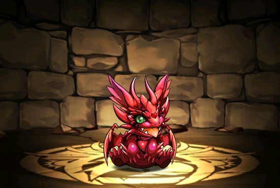 Pet253