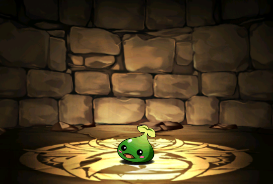 Pet040