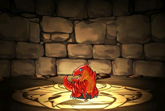 Pet001