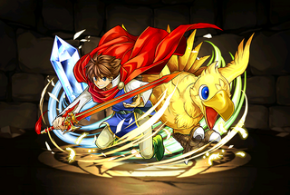 Pet2771
