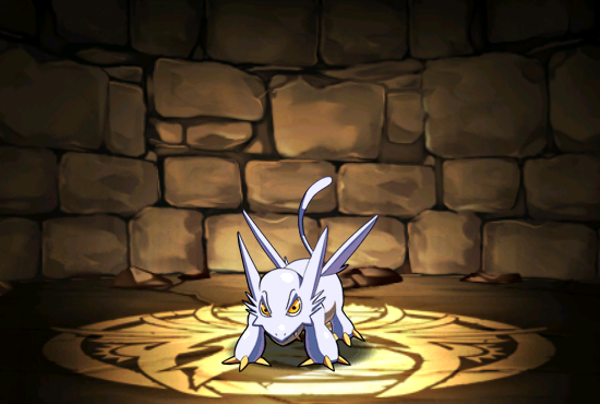 Pet030