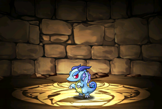 Pet965