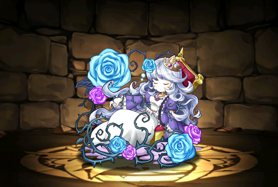Pet1421