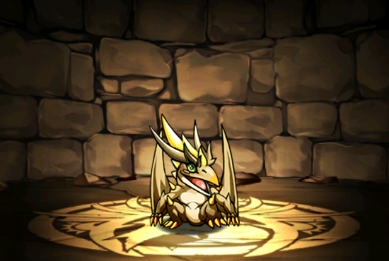 Pet014