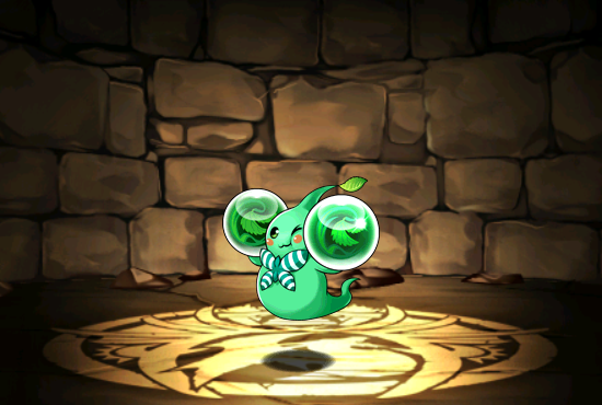 Pet248
