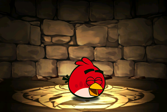 Pet948