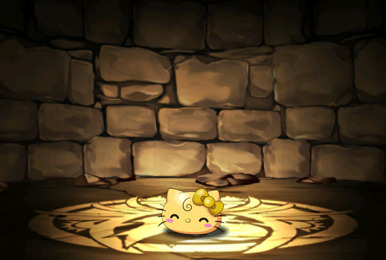 Pet1142