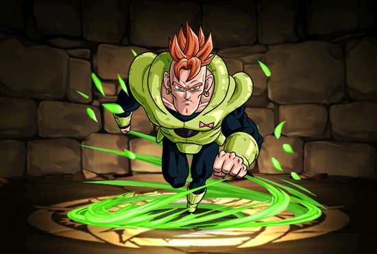 Pet1563