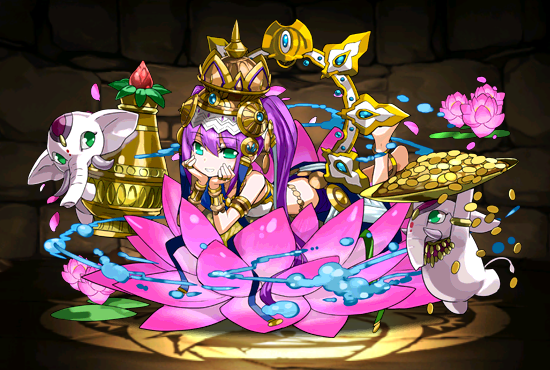 Pet1114