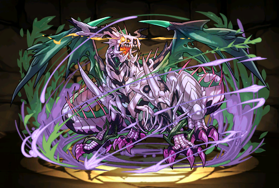 Pet1062