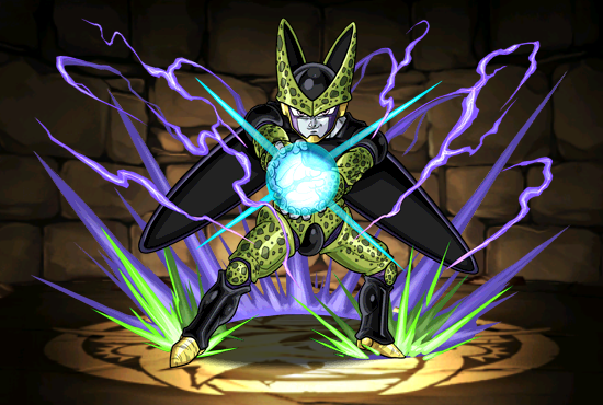Pet1571