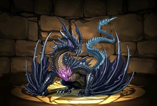 Pet244